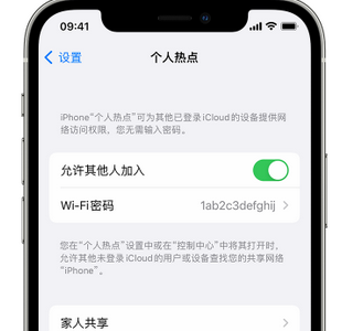 会山镇apple服务站点分享iPhone上个人热点丢失了怎么办 