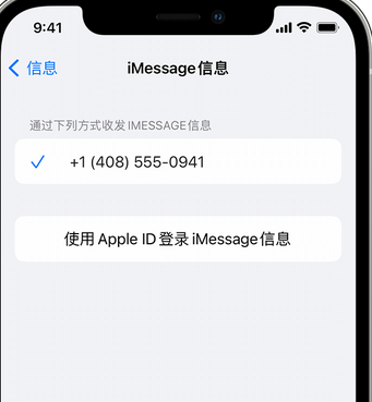 会山镇apple维修iPhone上无法正常发送iMessage信息 