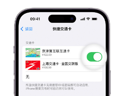 会山镇apple维修点分享iPhone上更换Apple Pay快捷交通卡手绘卡面 