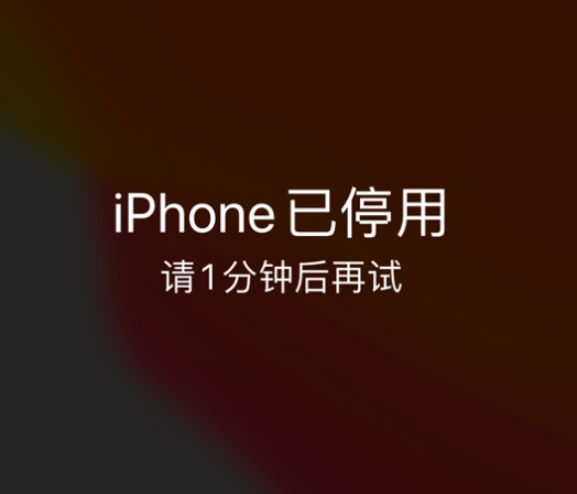 会山镇苹果手机维修分享:iPhone 显示“不可用”或“已停用”怎么办？还能保留数据吗？ 