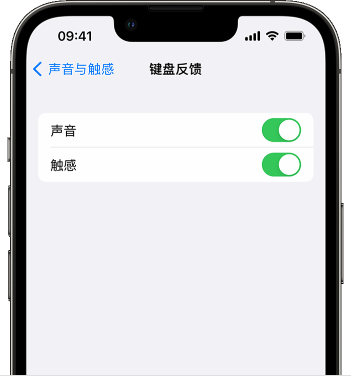 会山镇苹果14维修店分享如何在 iPhone 14 机型中使用触感键盘 