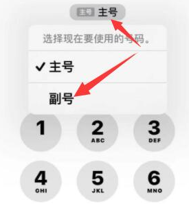 会山镇苹果14维修店分享iPhone 14 Pro Max使用副卡打电话的方法 