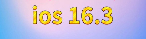 会山镇苹果服务网点分享苹果iOS16.3升级反馈汇总 