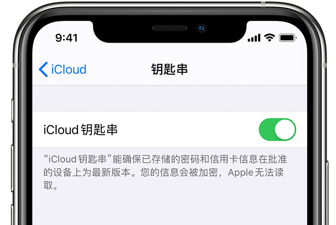 会山镇苹果手机维修分享在 iPhone 上开启 iCloud 钥匙串之后会储存哪些信息 